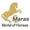 Maras World Solutions S.L. logo